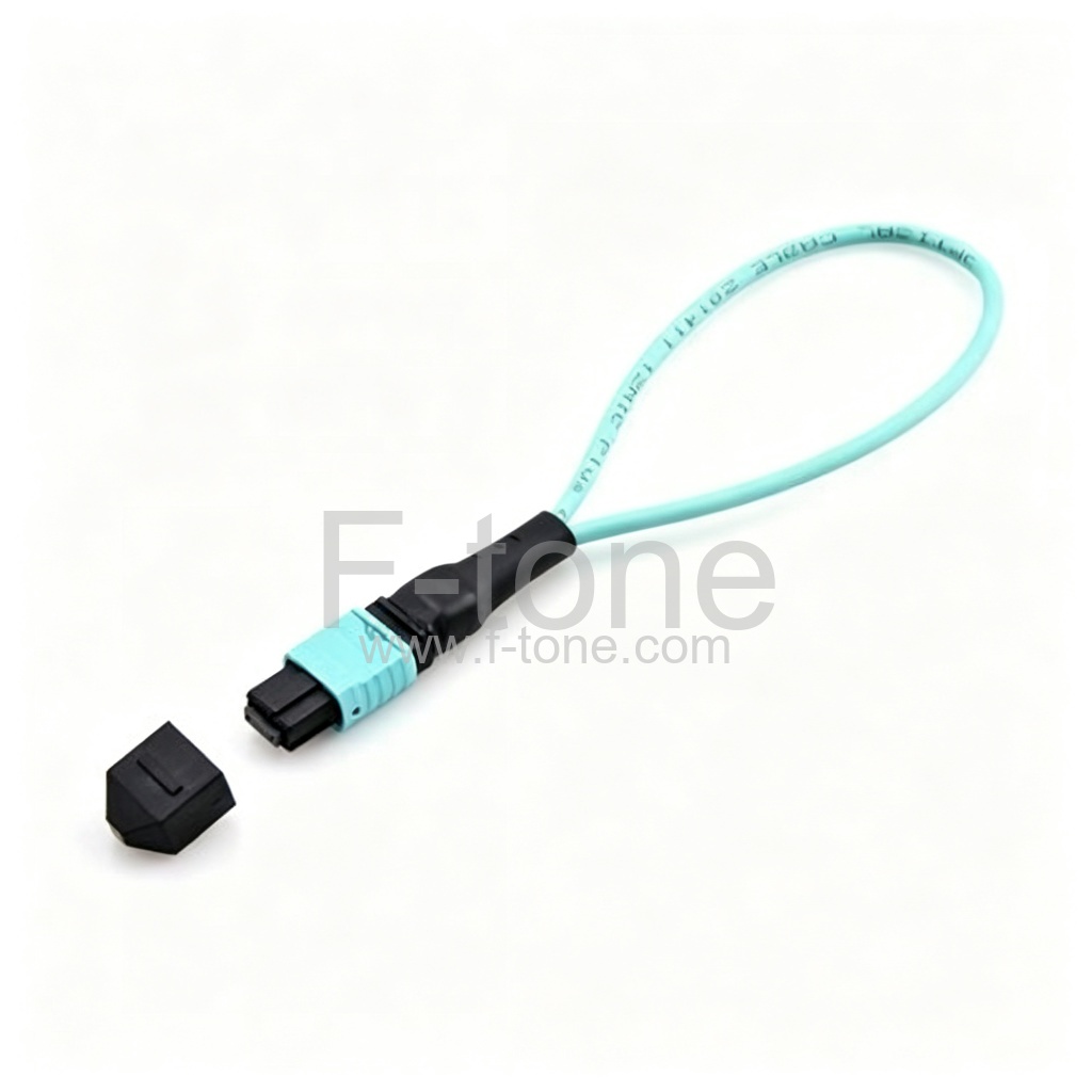 FT-100G-SR-OM3 product image - F-tone Networks
